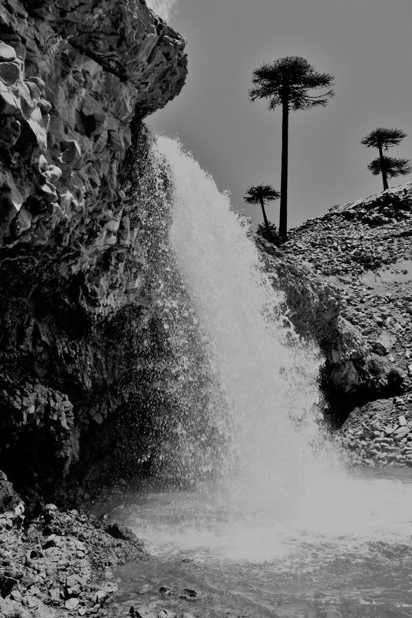 Cabanas Agua Clara Villa Pehuenia Buitenkant foto